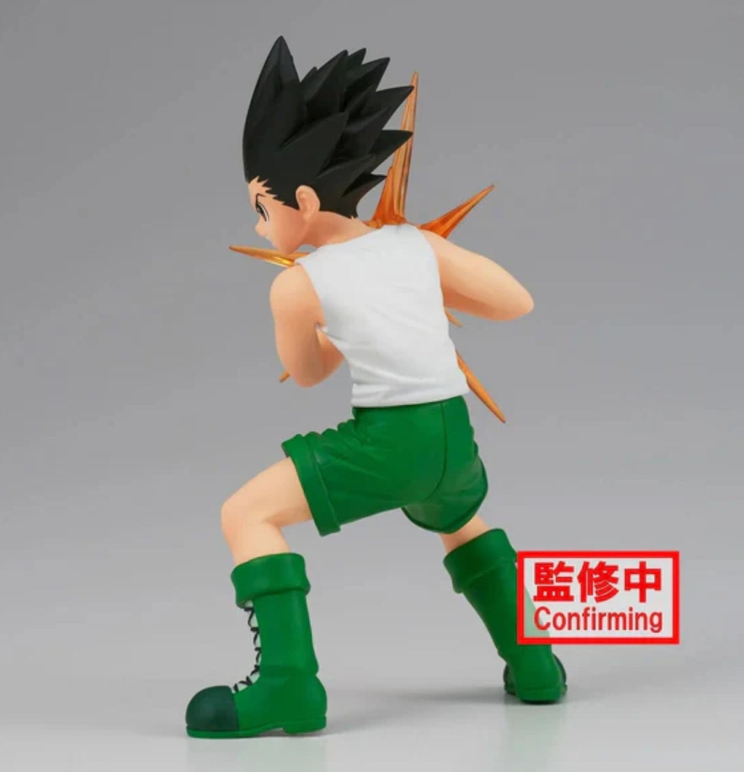 Gon Freecss HUNTER X HUNTER Vibration Stars