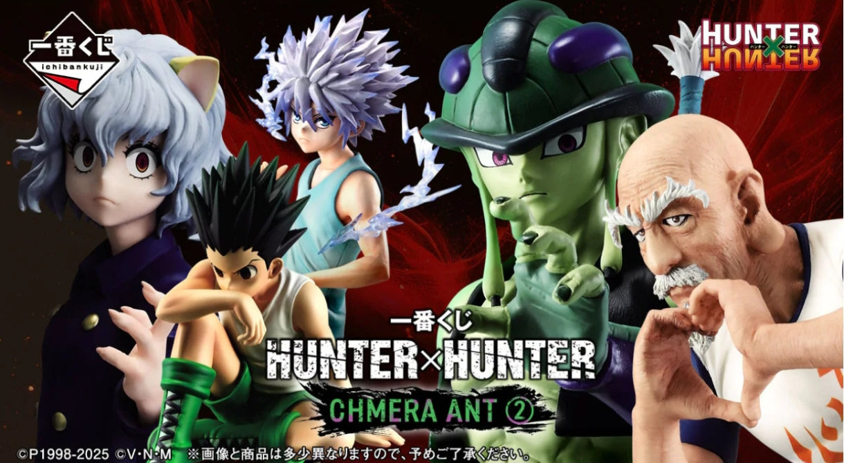 Hunter x Hunter Ordinabili