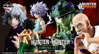 Ichiban Kuji Hunter X Hunter CHIMERA ANT 2 - A Prize Meruem Figure Masterlise